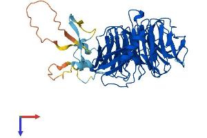 GRWD1 Protein (AA 1-446) (His tag)