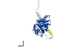 Protein Structure (PS) image for Fucosyltransferase 2 (Secretor Status Included) (FUT2) (AA 1-347) protein (His tag) (ABIN7561664)