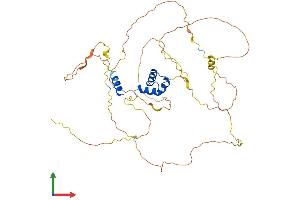 Protein Structure (PS) image for Ligand Dependent Nuclear Receptor Corepressor (Lcor) (AA 1-433) protein (His tag) (ABIN7548918)