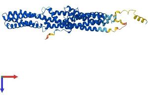 TTYH1 Protein (AA 1-450) (His tag)