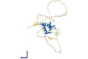 AlphaFold protein structure predicition of Mouse Recombinant Hoxb5 Protein, UniprotID P09079 (HOXB5 Protein (AA 1-269) (His tag))