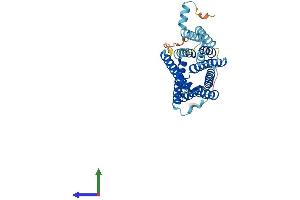 AlphaFold protein structure predicition of Human Recombinant SLC35E4 Protein, UniprotID Q6ICL7