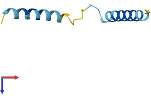 SERF2 Protein (AA 1-59) (Fc Tag)