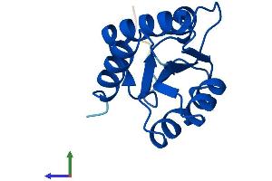 Protein Structure (PS) image for NHP2 Non-Histone Chromosome Protein 2-Like 1 (NHP2L1) (AA 1-128) protein (His tag) (ABIN7560852)