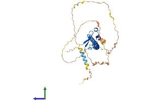 Protein Structure (PS) image for Nuclear Factor (Erythroid-Derived 2), 45kDa (NFE2) (AA 1-373) protein (His tag) (ABIN7556910)