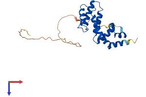 RGS17 Protein (AA 1-210) (His tag)