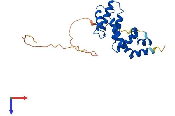 RGS17 Protein (AA 1-210) (His tag)