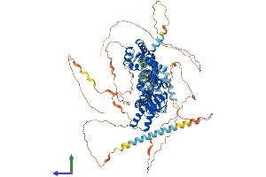Protein Structure (PS) image for Hyperpolarization Activated Cyclic Nucleotide-Gated Potassium Channel 1 (HCN1) (AA 1-910) protein (His tag) (ABIN7562653)