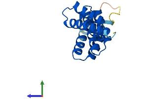 AlphaFold protein structure predicition of Human Recombinant TTC32 Protein, UniprotID Q5I0X7