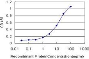 Detection limit for recombinant GST tagged NHLH2 is approximately 0. (NHLH2 Antikörper  (AA 36-135))