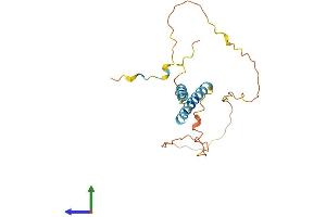 AlphaFold protein structure predicition of Mouse Recombinant Tmem134 Protein, UniprotID Q8R0J4