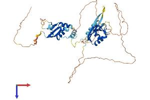 KCTD8 Protein (AA 1-473) (His tag)