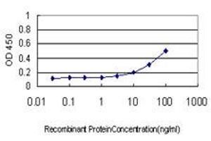 Detection limit for recombinant GST tagged AKT1 is approximately 1ng/ml as a capture antibody. (AKT1 Antikörper  (AA 1-480))