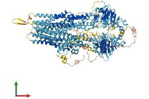 AlphaFold protein structure predicition of Human Recombinant ABCC12 Protein, UniprotID Q96J65