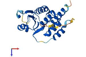 DUSP13 Protein (AA 1-188) (His tag)