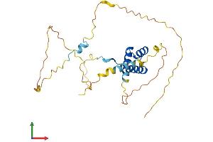 Protein Structure (PS) image for NK6 Homeobox 3 (NKX6-3) (AA 1-265) protein (His tag) (ABIN7549741)