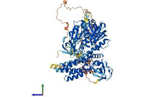 AlphaFold protein structure predicition of Human Recombinant VAV2 Protein, UniprotID P52735