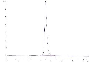 Size-exclusion chromatography-High Pressure Liquid Chromatography (SEC-HPLC) image for Guanylate Cyclase 2C (Heat Stable Enterotoxin Receptor) (GUCY2C) (AA 24-430) protein (Fc Tag) (ABIN7274715)