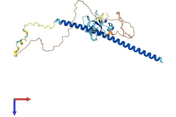 THAP7 Protein (AA 1-309) (His tag)
