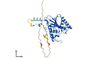 Protein Structure (PS) image for Phosphoglycerate Mutase Family Member 5 (PGAM5) (AA 1-288) protein (His tag) (ABIN7558984)