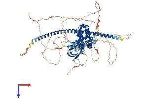 ARHGAP24 Protein (AA 1-747) (His tag)