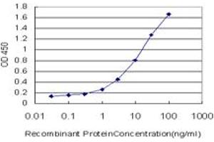 Detection limit for recombinant GST tagged ETV5 is approximately 0. (ETV5 Antikörper  (AA 181-290))