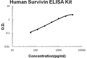 Human Survivin PicoKine ELISA Kit standard curve
