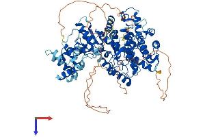 FAM120B Protein (AA 1-786) (His tag)