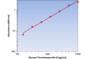 Thrombospondin 2 (THBS2) ELISA Kit