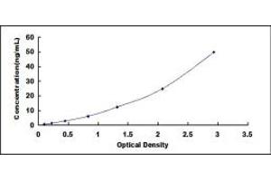 Typical standard curve (COX IV ELISA Kit)