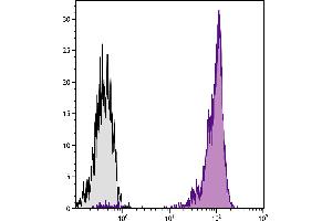 Chicken peripheral blood lymphocytes were stained with Mouse Anti-Chicken CD45-UNLB. (CD45 Antikörper)