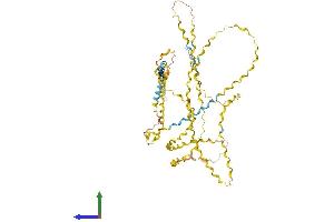Protein Structure (PS) image for Collagen, Type XXIII, alpha 1 (COL23A1) (AA 1-540) protein (His tag) (ABIN7546681)