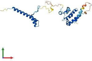 Protein Structure (PS) image for Coiled-Coil Domain Containing 103 (CCDC103) (AA 1-242) protein (His tag) (ABIN7552975)