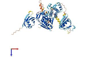 FERMT1 Protein (AA 1-677) (His tag)
