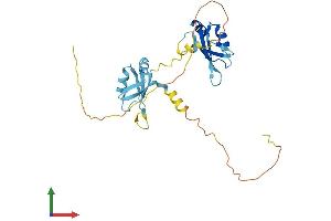 Protein Structure (PS) image for Heterogeneous Nuclear Ribonucleoprotein A/B (HNRNPAB) (AA 1-285) protein (His tag) (ABIN7560289)