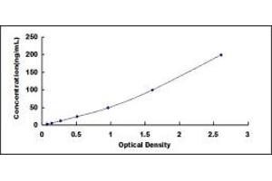 Typical standard curve (IGFBP2 ELISA Kit)