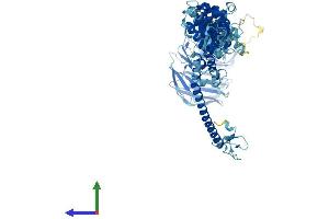 Protein Structure (PS) image for Vacuolar Protein Sorting 39 Homolog (VPS39) (AA 1-886) protein (His tag) (ABIN7555988)