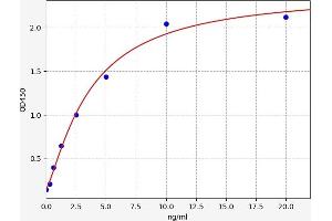 Typical standard curve (Choline Acetyltransferase ELISA Kit)