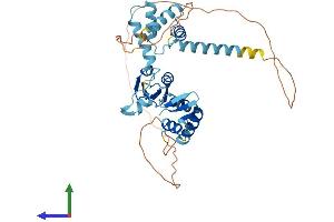 Protein Structure (PS) image for Ly1 Antibody Reactive (LYAR) (AA 1-388) protein (His tag) (ABIN7556920)