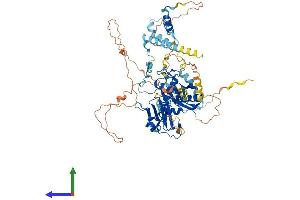Protein Structure (PS) image for Radial Spoke Head 6 Homolog A (RSPH6A) (AA 1-708) protein (His tag) (ABIN7559268)
