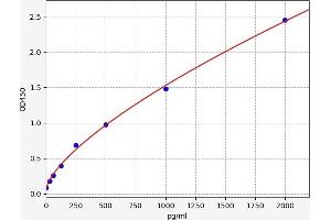 Stanniocalcin 2 (STC2) ELISA Kit