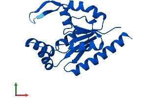 Protein Structure (PS) image for RNA Polymerase II TBP-Associated Factor Subunit G (TAF9) (AA 1-172) protein (His tag) (ABIN7548657)