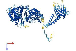 ELMO3 Protein (AA 1-720) (His tag)