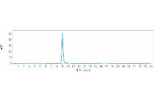 The purity of Anti-ICOS / CD278 Reference Antibody (MEDI-570) is more than 95 % , determined by SEC-HPLC. (Rekombinanter ICOS Antikörper)