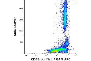 Flow cytometry surface staining pattern of human peripheral whole blood stained using anti-human CD58 (MEM-63) purified antibody (concentration in sample 1,67 μg/mL, GAM APC). (CD58 Antikörper)
