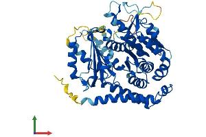 AlphaFold protein structure predicition of Mouse Recombinant Tube1 Protein, UniprotID Q9D6T1