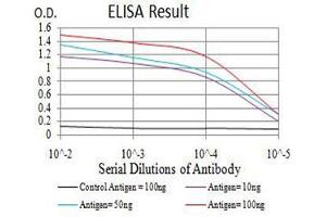 Black line: Control Antigen (100 ng),Purple line: Antigen (10 ng), Blue line: Antigen (50 ng), Red line:Antigen (100 ng) (Estrogen Receptor alpha Antikörper  (AA 2-185))