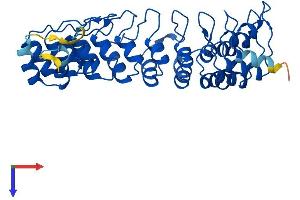AlphaFold protein structure predicition of Mouse Recombinant Ankrd16 Protein, UniprotID A2AS55