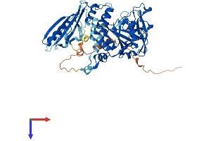 PARP3 Protein (AA 1-533) (His tag)