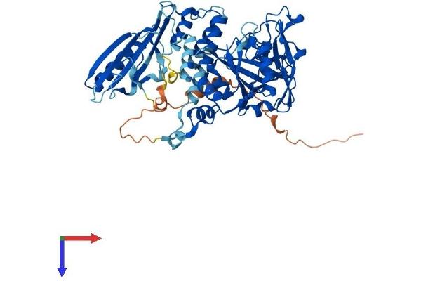 PARP3 Protein (AA 1-533) (His tag)